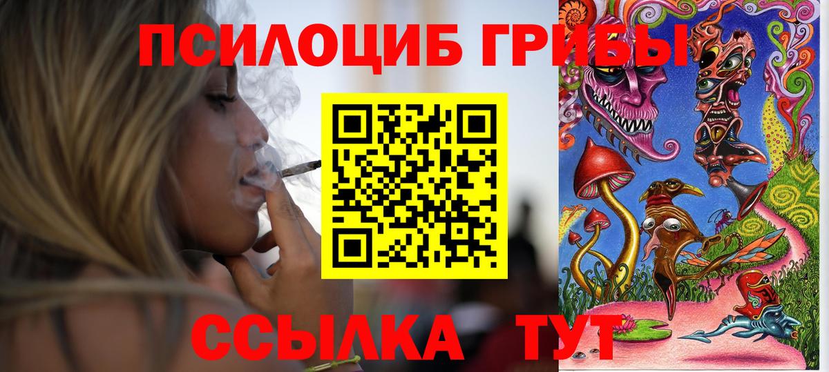Галлюциногенные грибы MAGIC MUSHROOMS Корсаков