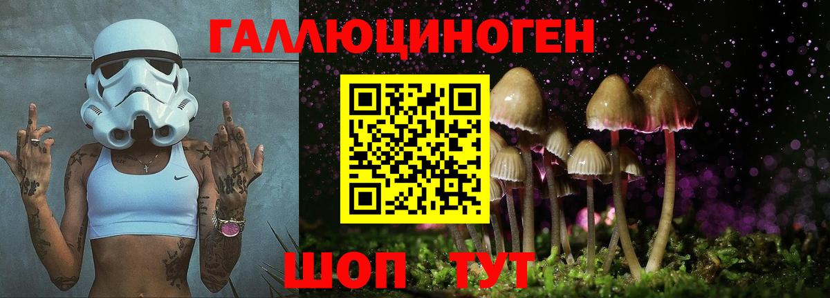 Псилоцибиновые грибы Cubensis  Галлюциногенные грибы Psilocybe  Вход с VPN  Корсаков 